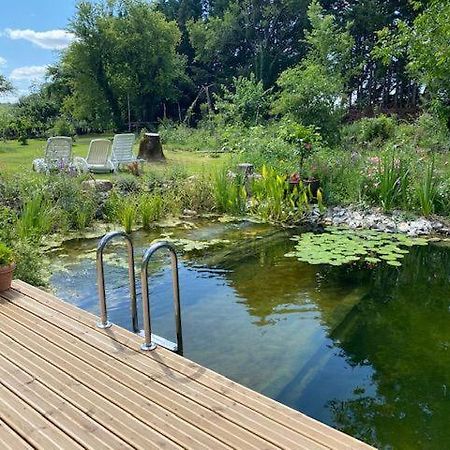 Bed and Breakfast Le moulin scalagrand Mazieres  Esterno foto