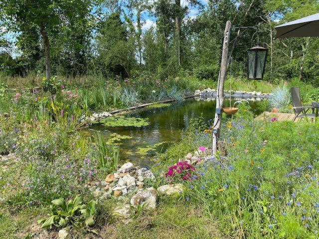 Bed and Breakfast Le moulin scalagrand Mazieres  Esterno foto