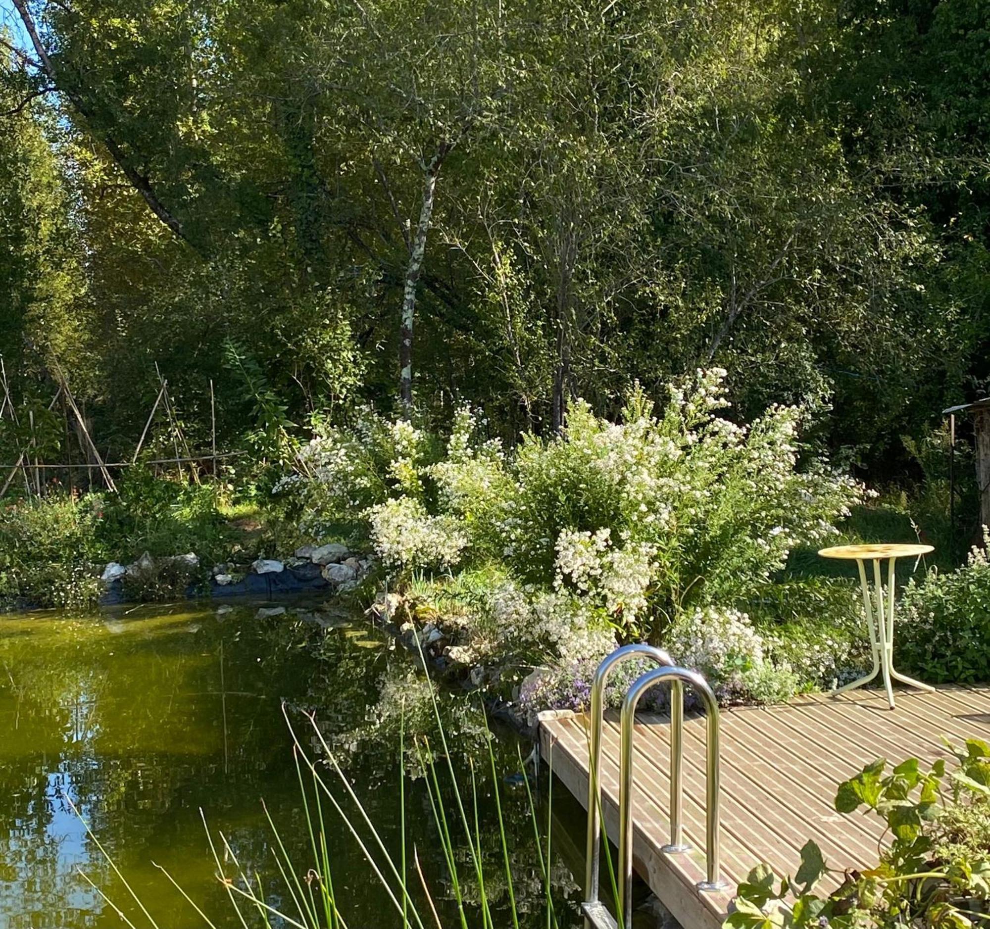 Bed and Breakfast Le moulin scalagrand Mazieres  Esterno foto